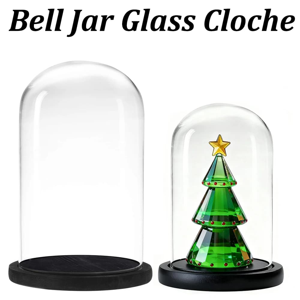 The Bell Jar Glass Cloche with Black Wood Base 15 Sizes Clear Decorative Glass Dome Display Storage Box for Curios Keepsakes
