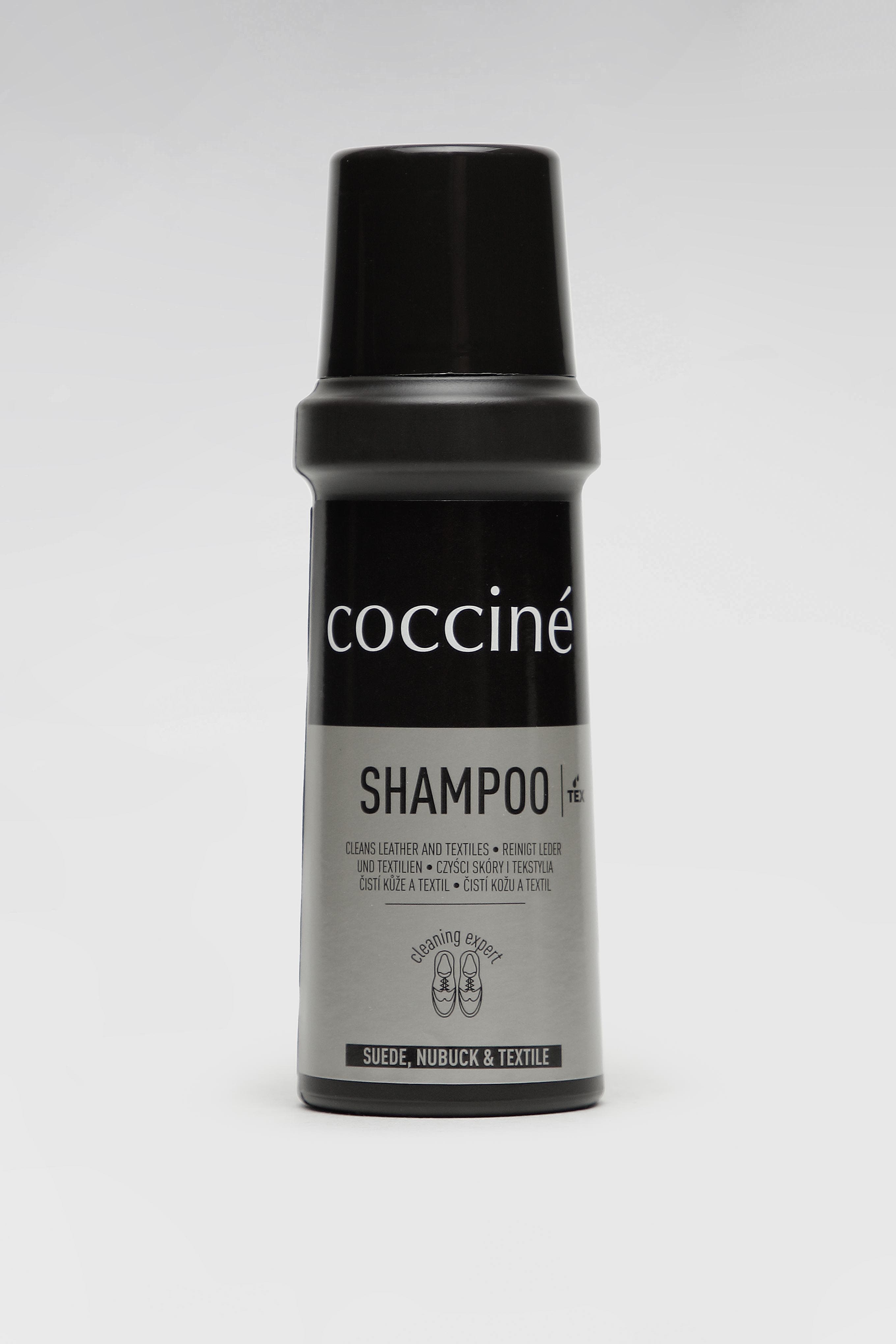Šampon
