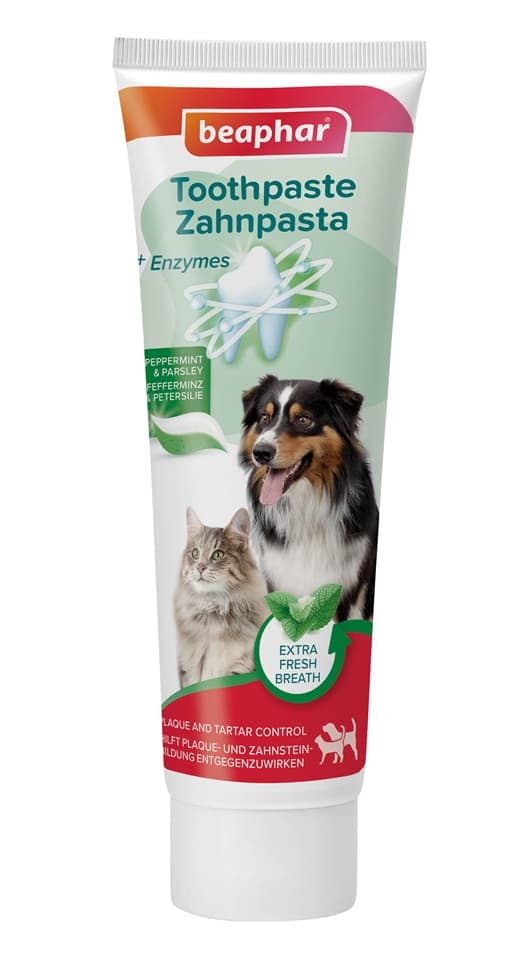 BEAPHAR Toothpaste Mint and Parsley 100 g zubní pasta s příchutí máty a petrželky pro psy a kočky