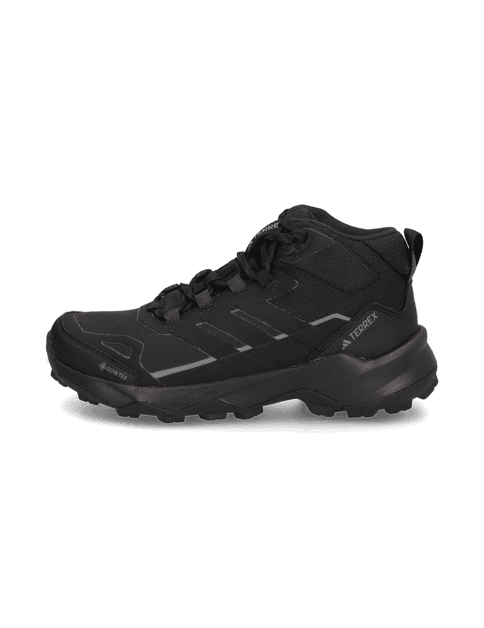 TERREX SKYCHASER AX5 MID GTX