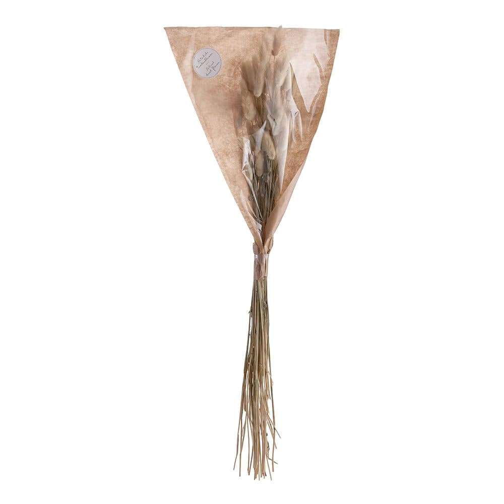 FLOWER MARKET Lagurus tráva sušená "Zaječí ocásek" 70 cm