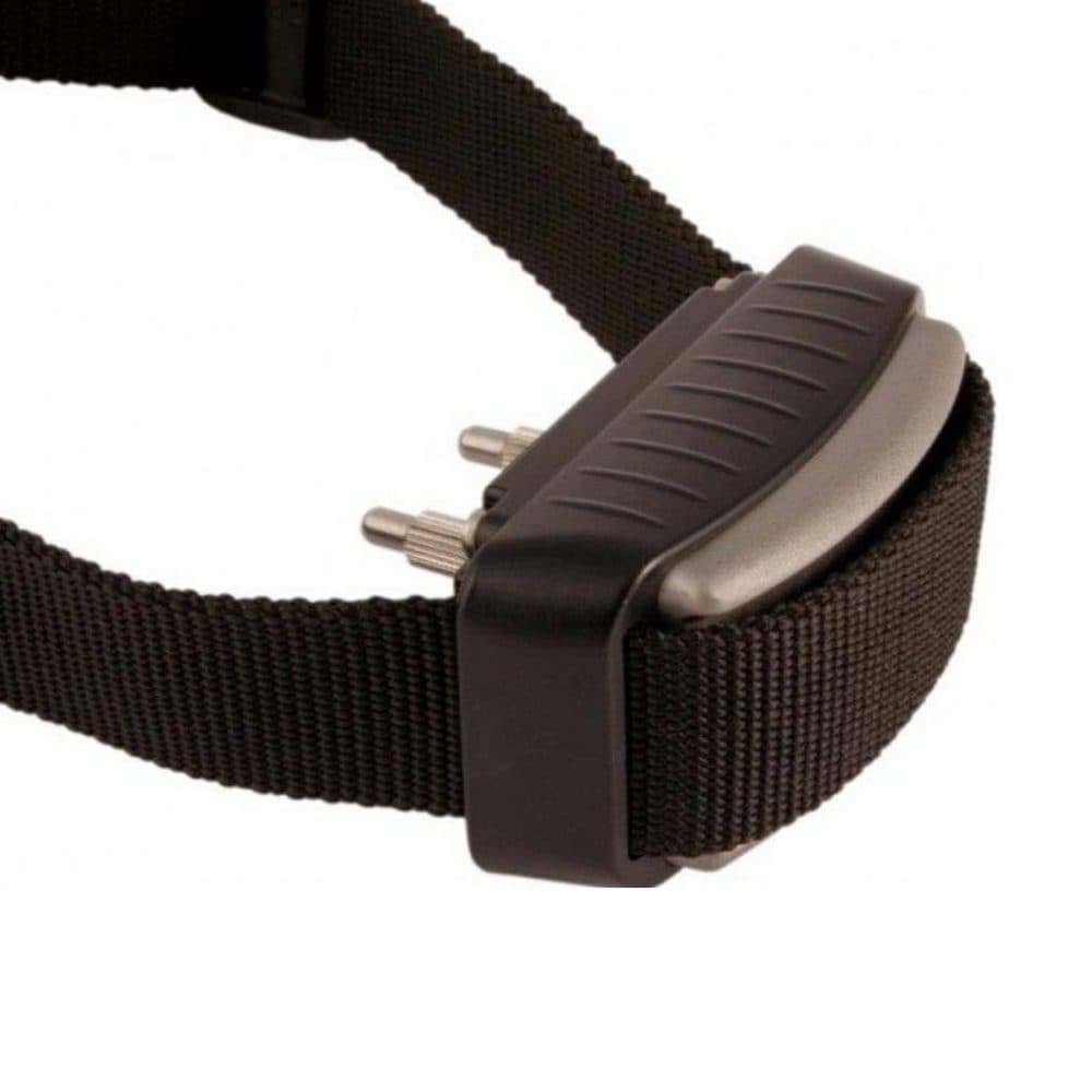 Dogtrace d-mute | P35496