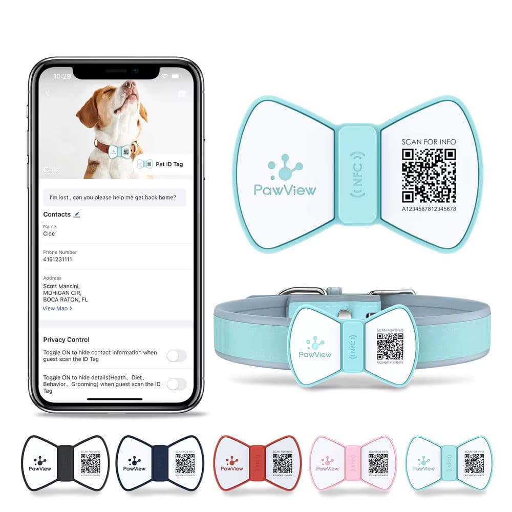PawView chytrá známka pro psy pánský motýlek - tyrkysová | P54848