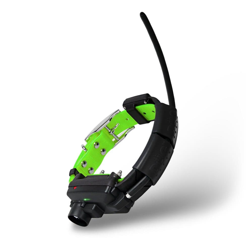 Obojek pro dalšího psa DOG GPS X25TB - green