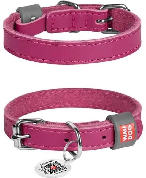 Obojek kůže 12mmx19-25cm WAUDOG růžový