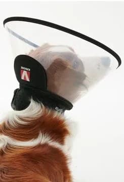 KRUUSE Límec ochranný BUSTER plastový Complete Collar 7,5cm