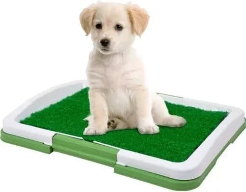 Zaparkorun Toaleta pro domácí mazlíčky - Potty Pad