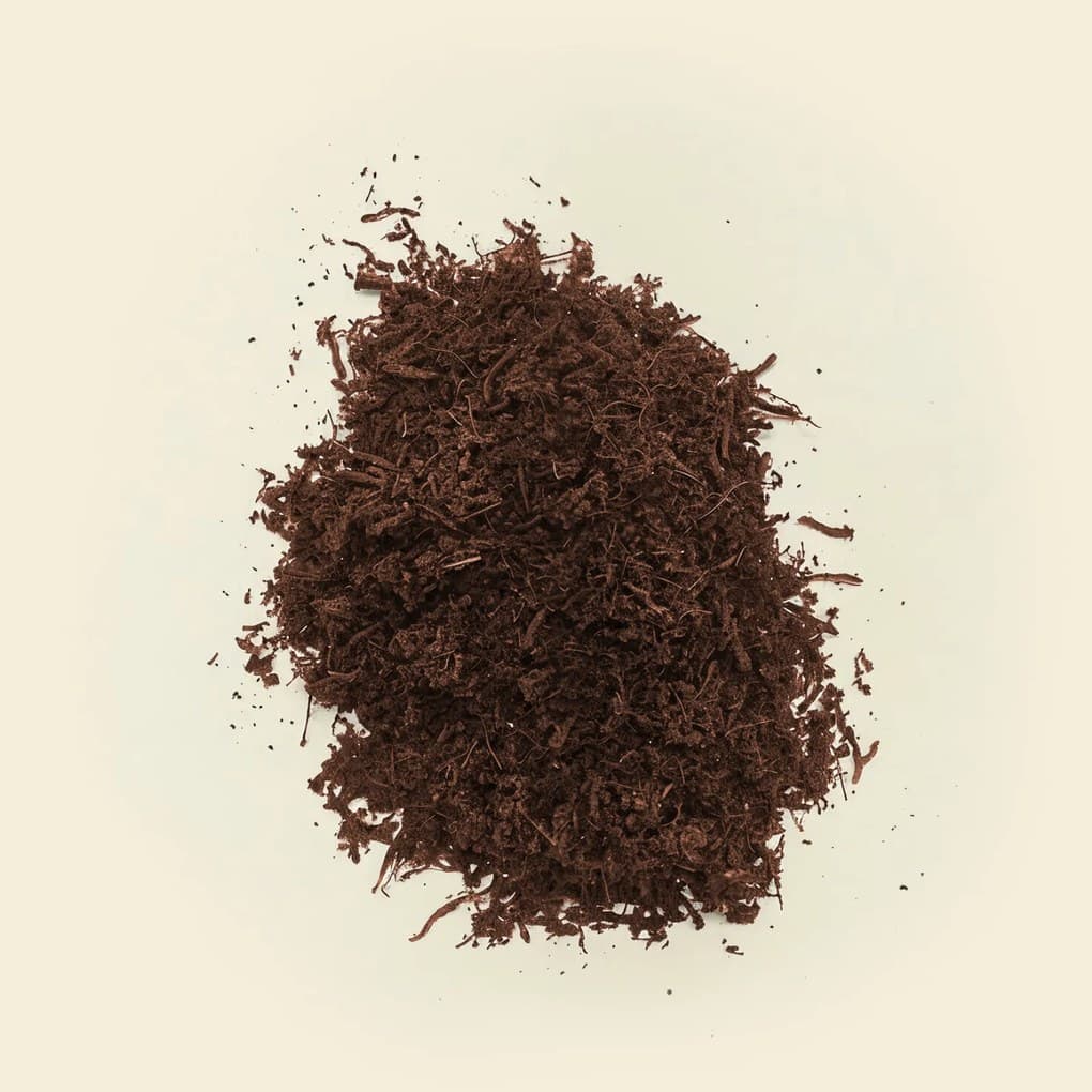 Plantbee Vlákna Tree Fern 0.5l