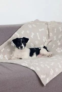 Trixie GmbH a Co.KG Deka pro psy KENNY bílé kosti,tlapky 100x150cmbéžováTR