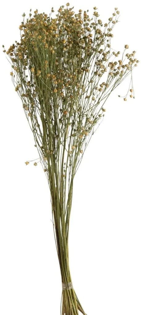 Svazek sušených květin Len žlutý - 12*10*70 cm