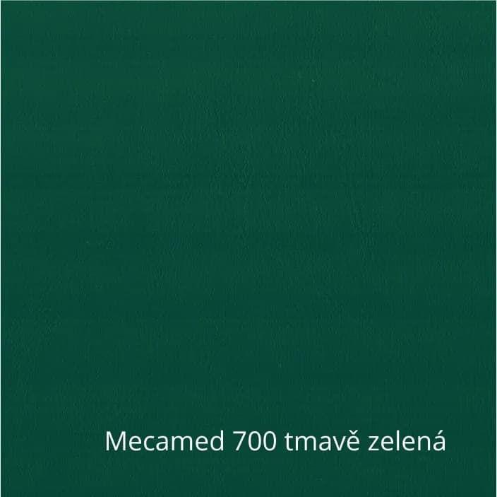 SEGO CZ Zdravotní židle SEGO Stand C koženka Barva: 700 Tmavě zelená