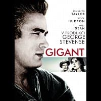 Různí interpreti – Gigant DVD