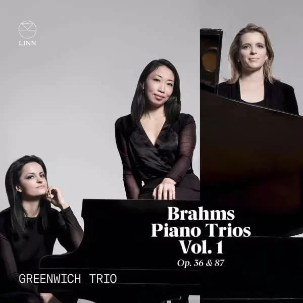 CD Johannes Brahms: Klaviertrios Vol.1