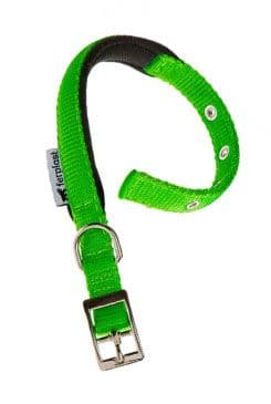 Obojek nylon Daytona C 45cmx25mm zelený Fp
