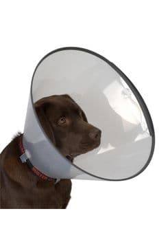 Límec ochranný Buster plastový Comfort Collar 10 Cm