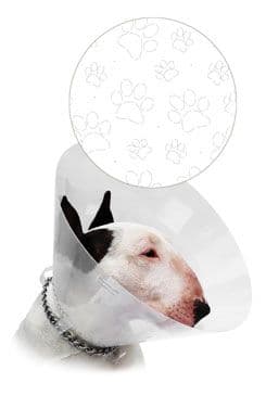 Límec ochranný Cvet Transparent tlapky 40cm 1ks
