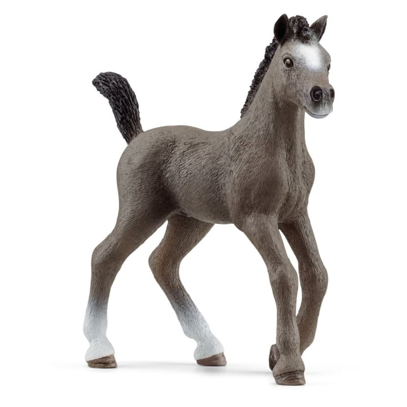 Schleich Zvířátko Hříbě plemene Selle Français