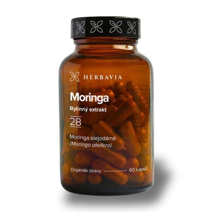 Moringa olejodárná
