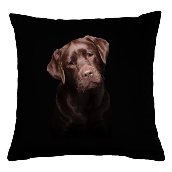 Polštář bavlněný Labrador čokoláda