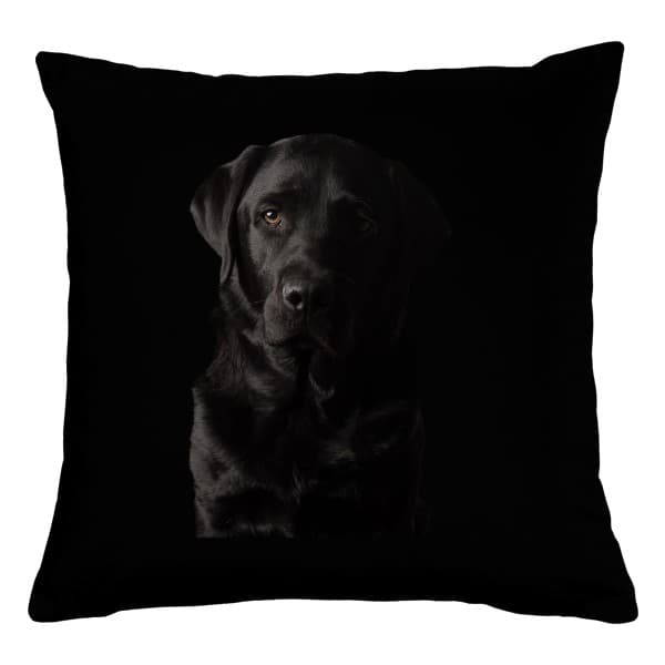 Polštář bavlněný Labrador v černém