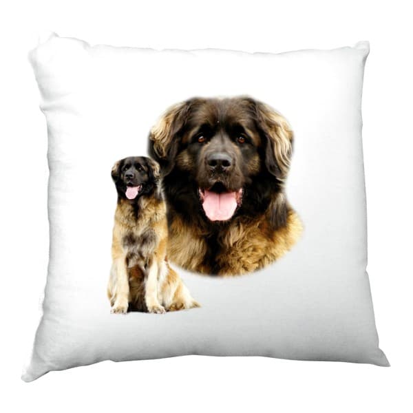 Polštář saténový Leonberger