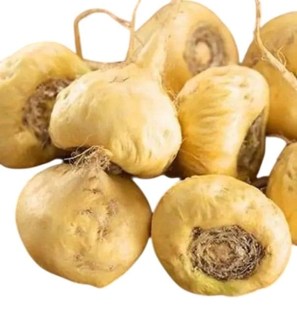 Semena Lepidium Meyenii Maca Řeřicha Peruánská 500 ks Žlutavé Hlízovité Kořeny Užitková Rostlina Pro Zahradu I Květináč Pěstování Ze