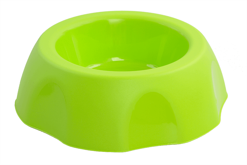 PET SHOP | XL miska pro psy & kočky | 800 ml | zelená