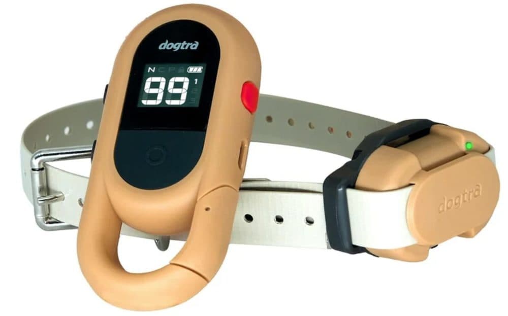 Dogtra IQ Flex | P55153