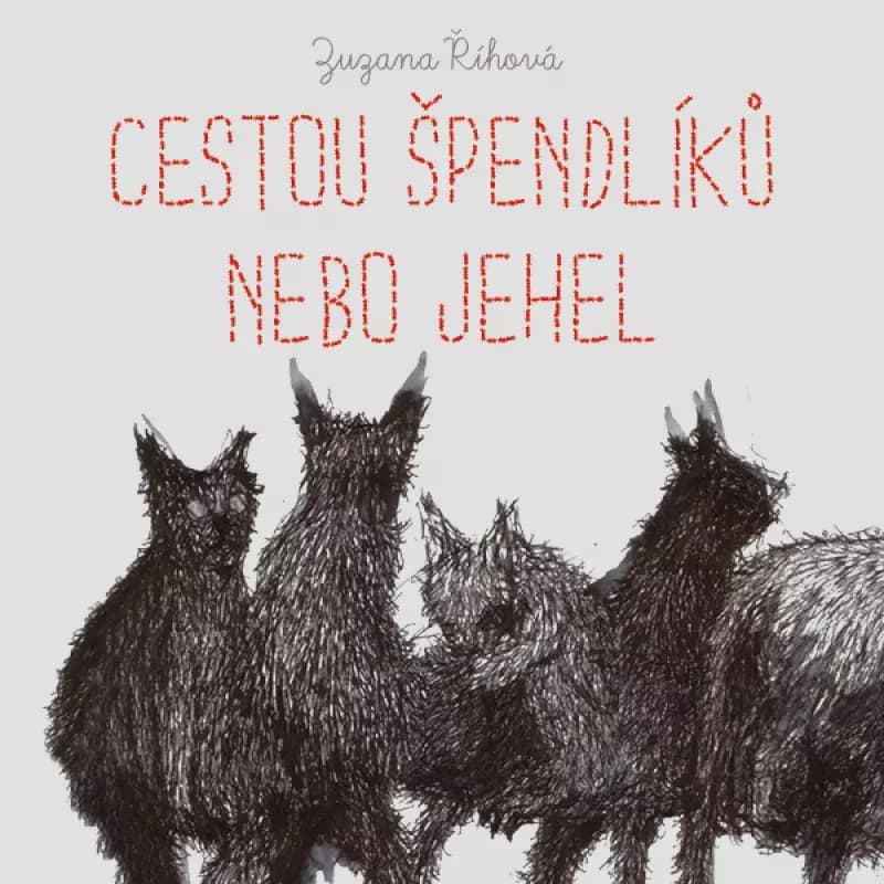CD Jana Štvrtecká: Říhová: Cestou špendlíků Nebo Jehel