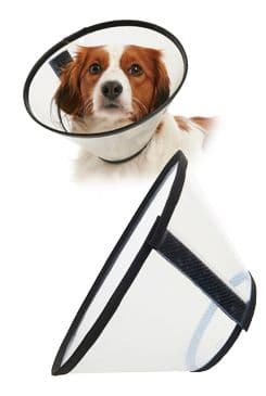 Límec ochranný Buster plastový Quick Collar 12,5cm